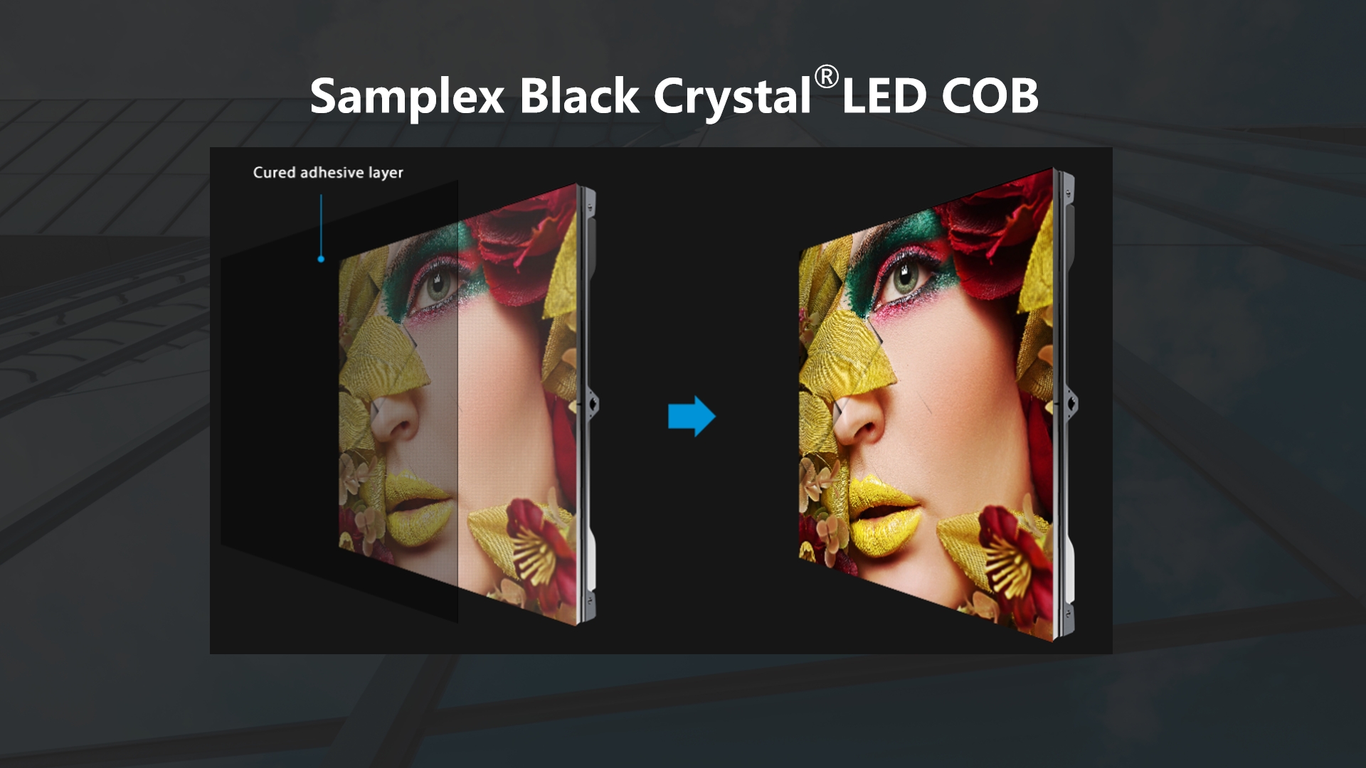 Samplex High Brightness Full Flip COB P0.7-1.56mm Indoor Display Screen