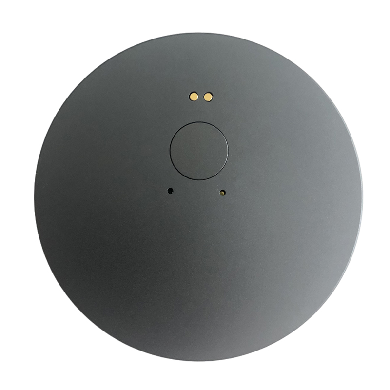 LX-30 AI Voice Translator Earbuds 138 Languages
