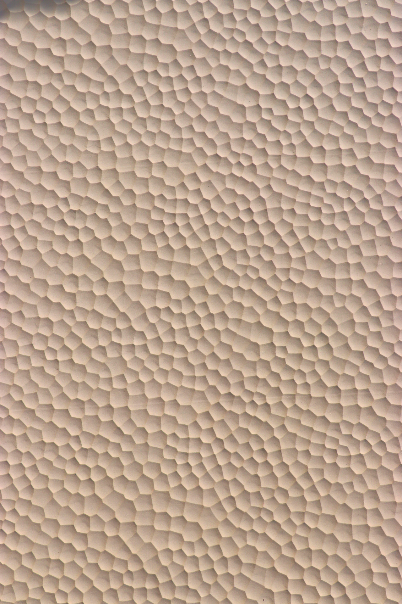 Soft Embossed Sheet with Wood Pulp Surface