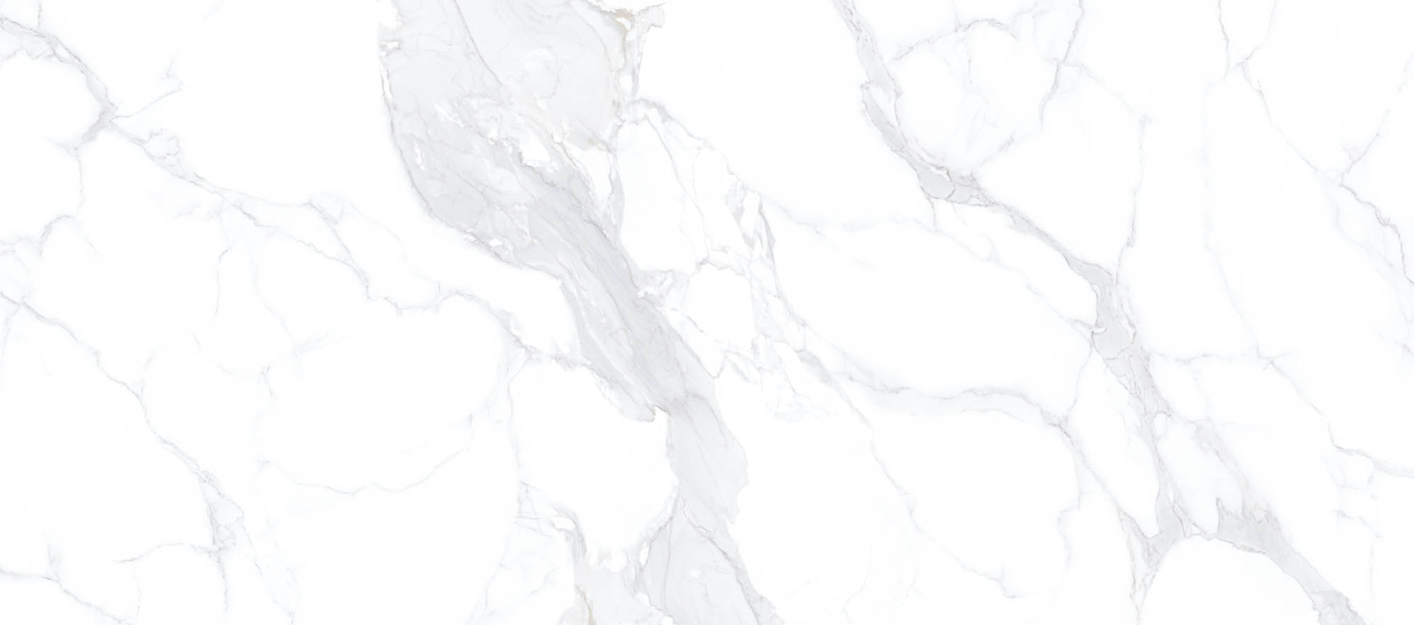 Porcelain Slab Floor and Wall Tile 160-360DBP13401M