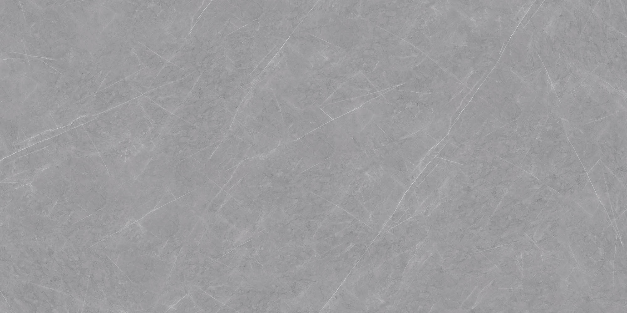 Porcelain Slab Floor and Wall Tile 160-320DBL12323M