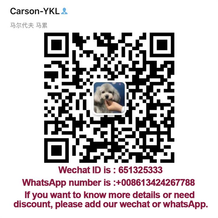 Canton Fair product