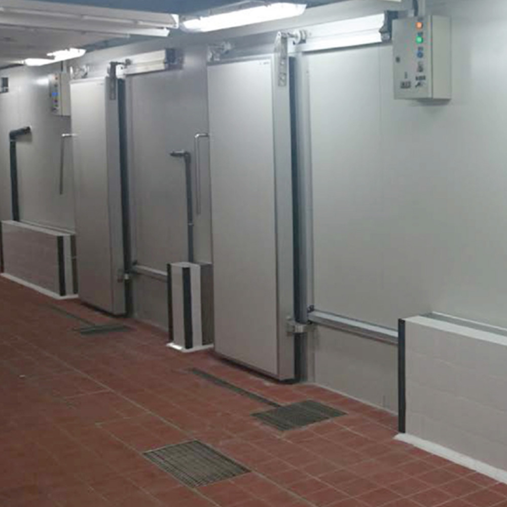 Portable Walk-in Cooler Freezer Cold Room