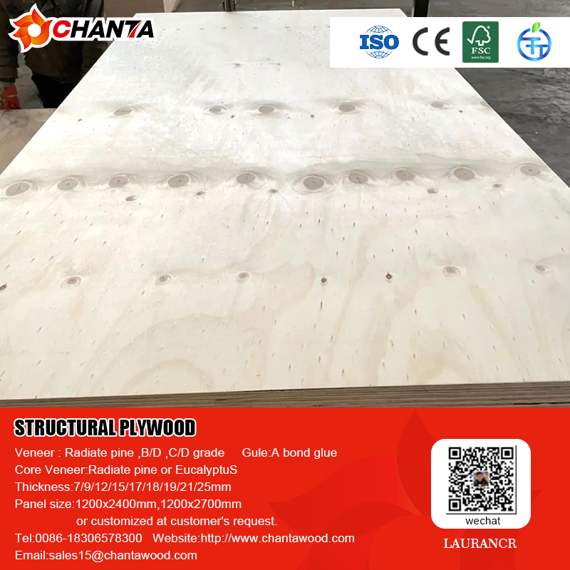 Pine Plywood / Commercial Plywood