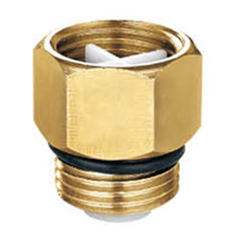 Check Valve M/F
