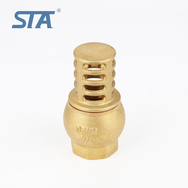 Forged Brass BSP F Threaded Check Foot Valve