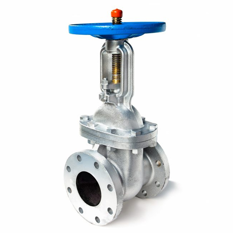 Stainless Steel Valve