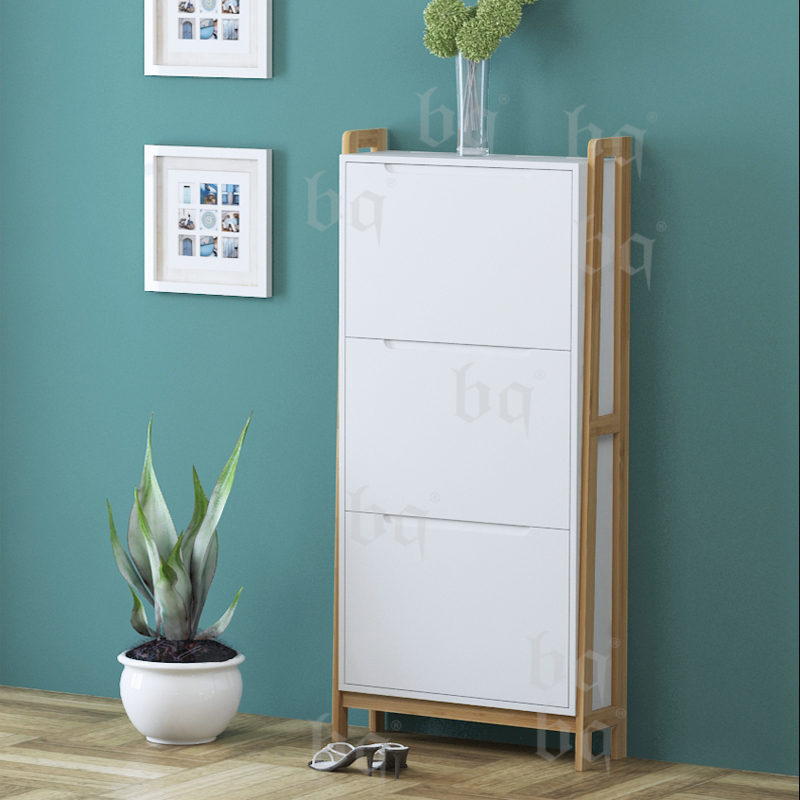 Shoe Cabinet and Storage Shelf