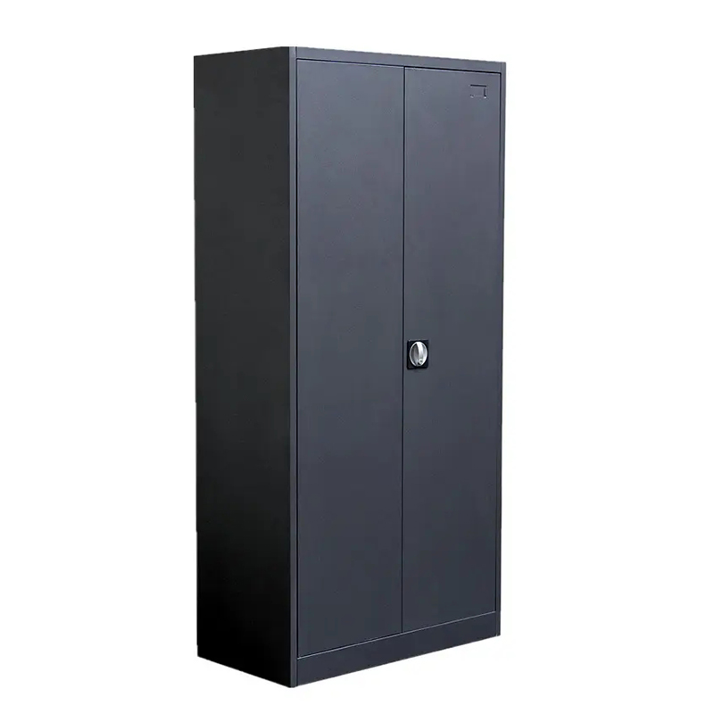 Longli Furniture Metal Storage Cabinet