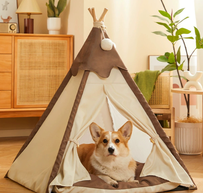 Pet Toys and Accessories