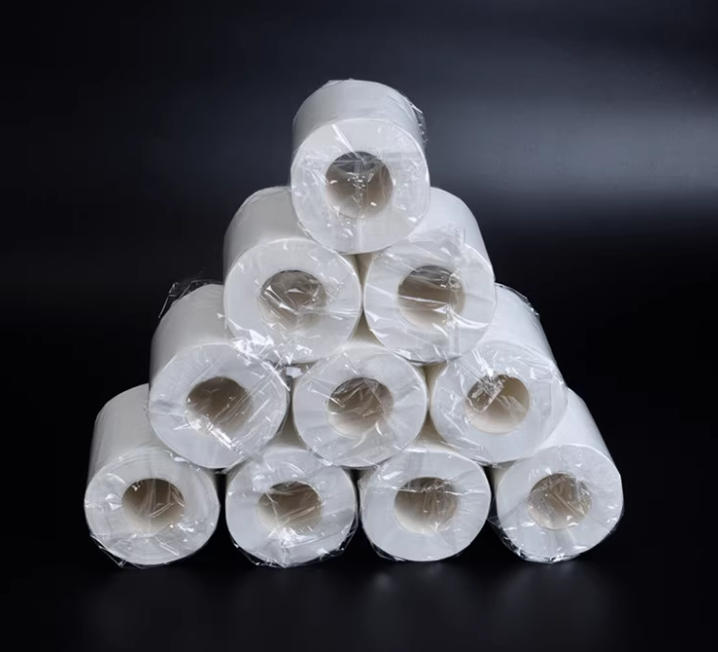 Toilet Paper Rolls