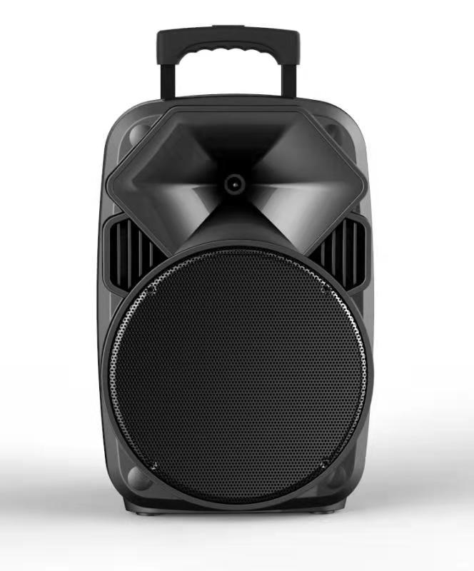 8-Inch Outdoor Portable Bluetooth Speaker with Wireless Microphone and Karaoke System