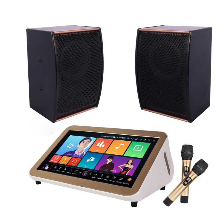Karaoke Speaker Box Professional Audio System