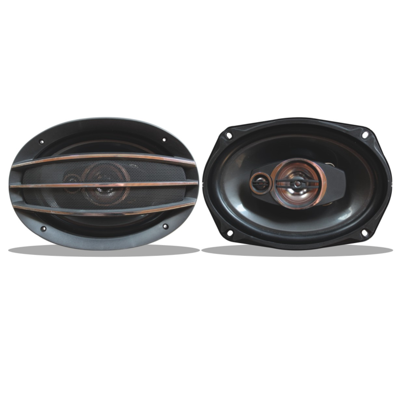 9-inch 4-way speaker with 1-inch voice coil