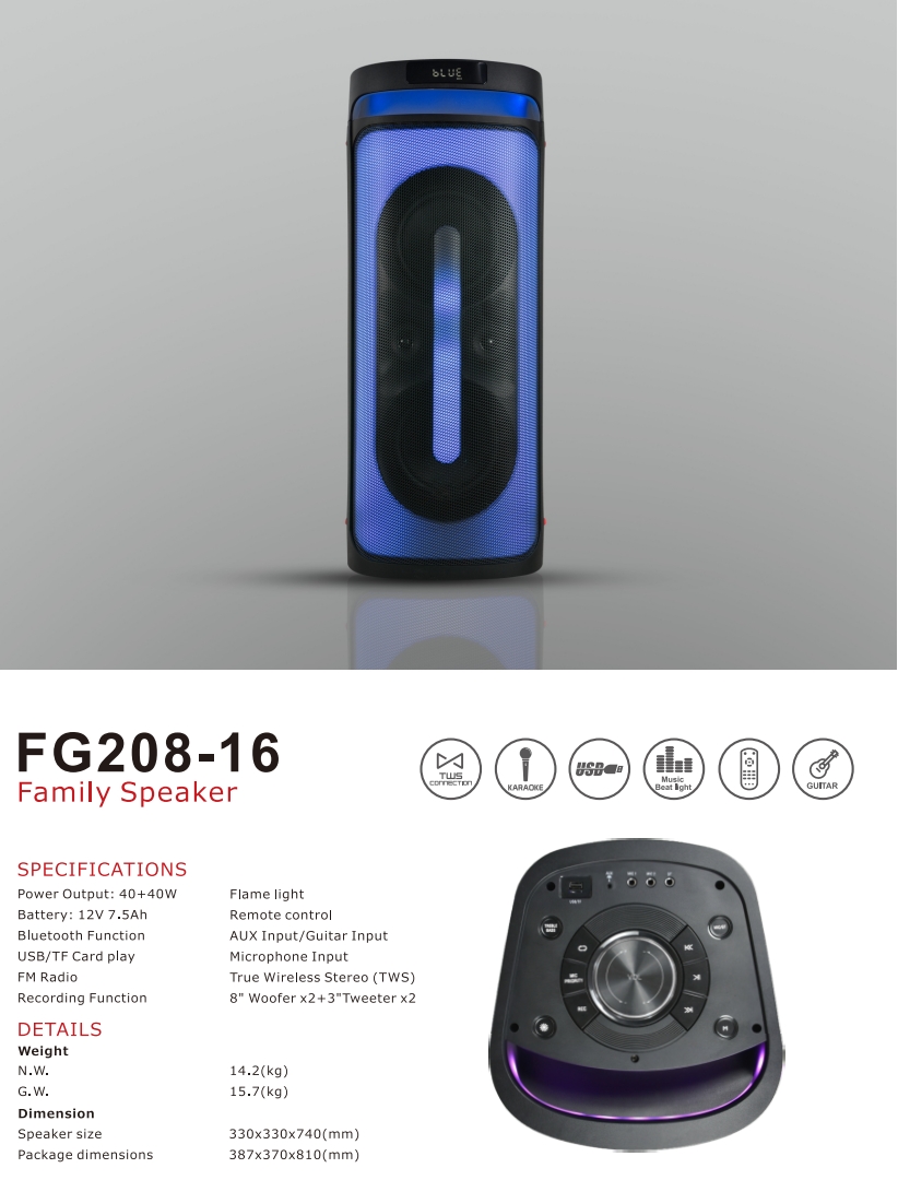 FG208-16 Family Speaker with Bluetooth, USB, and FM Radio