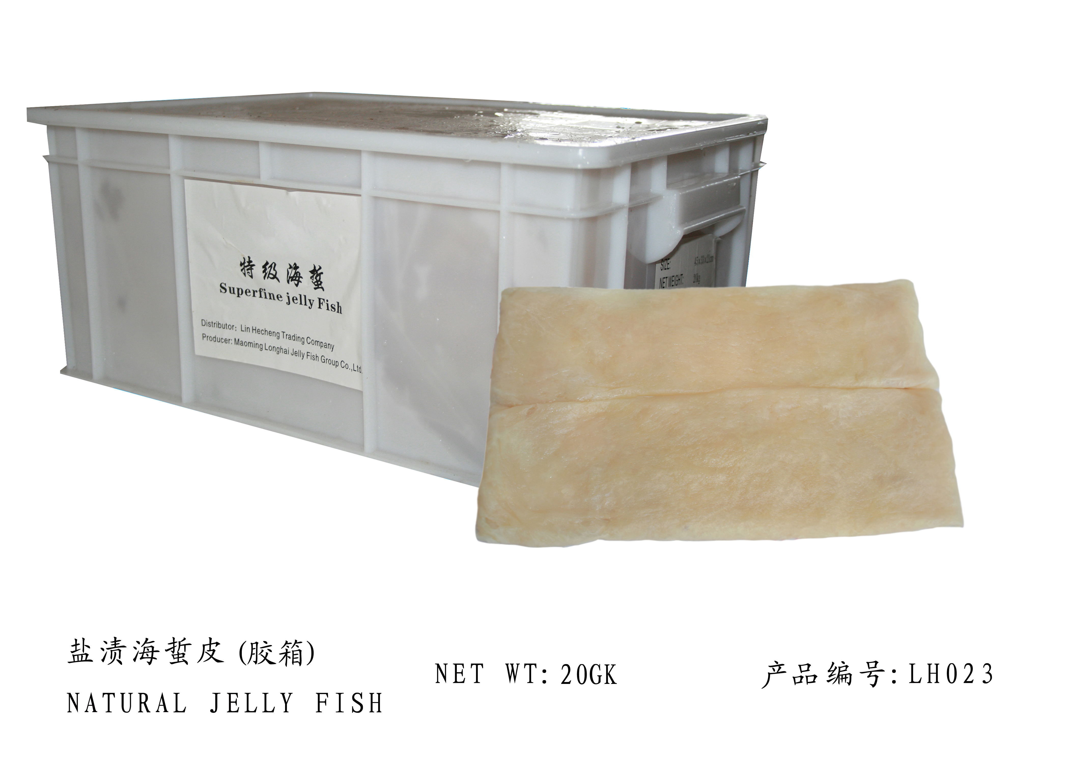 Whole Salted Jellyfish (20kg)