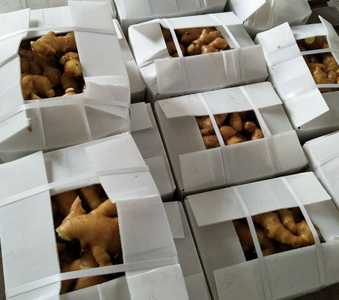 Canton Fair product