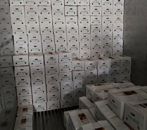 Canton Fair product
