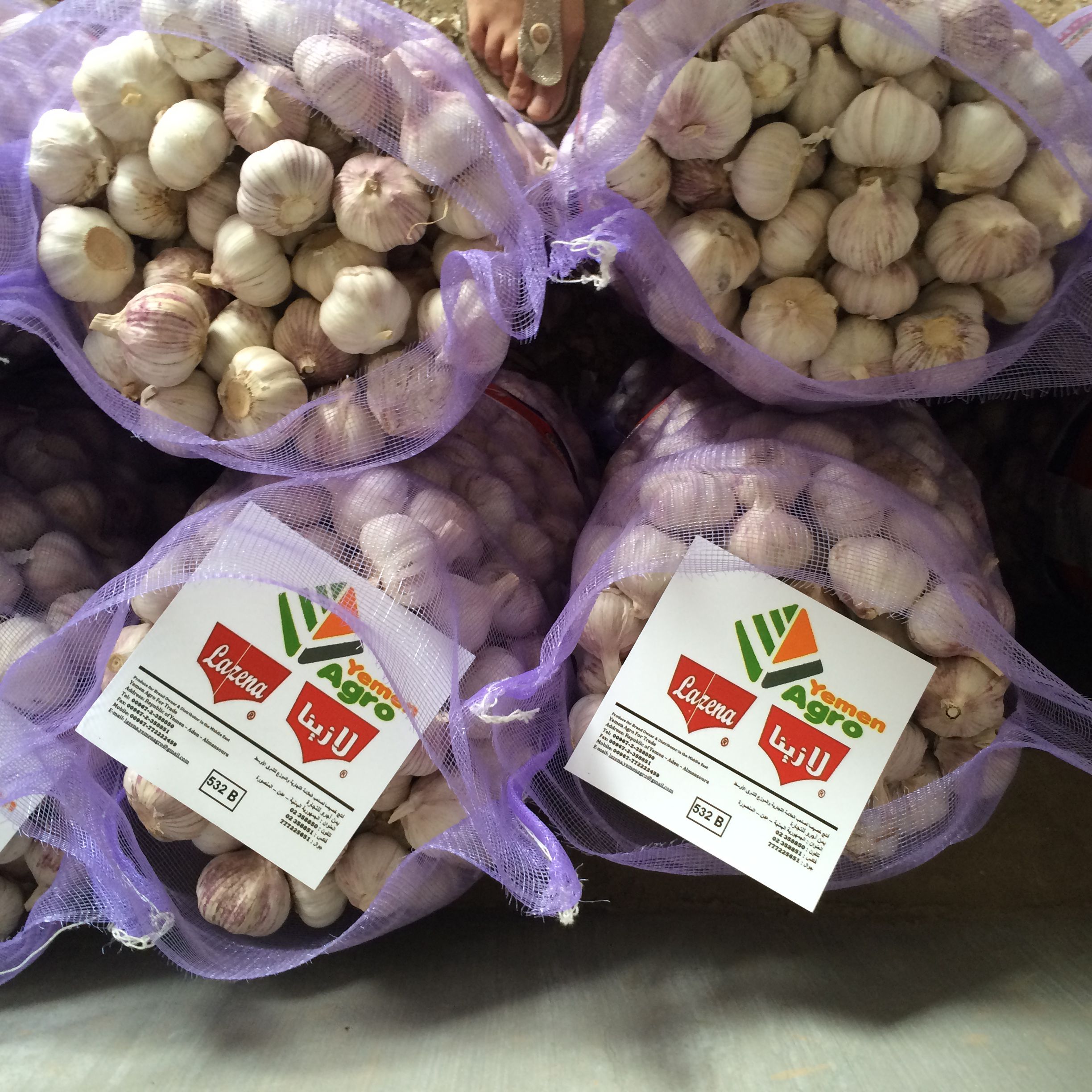 Canton Fair product