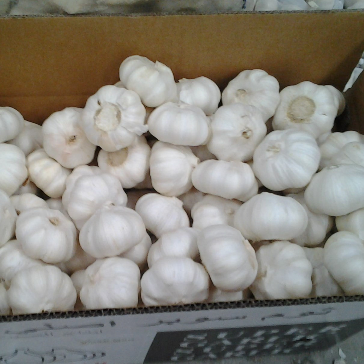 Canton Fair product