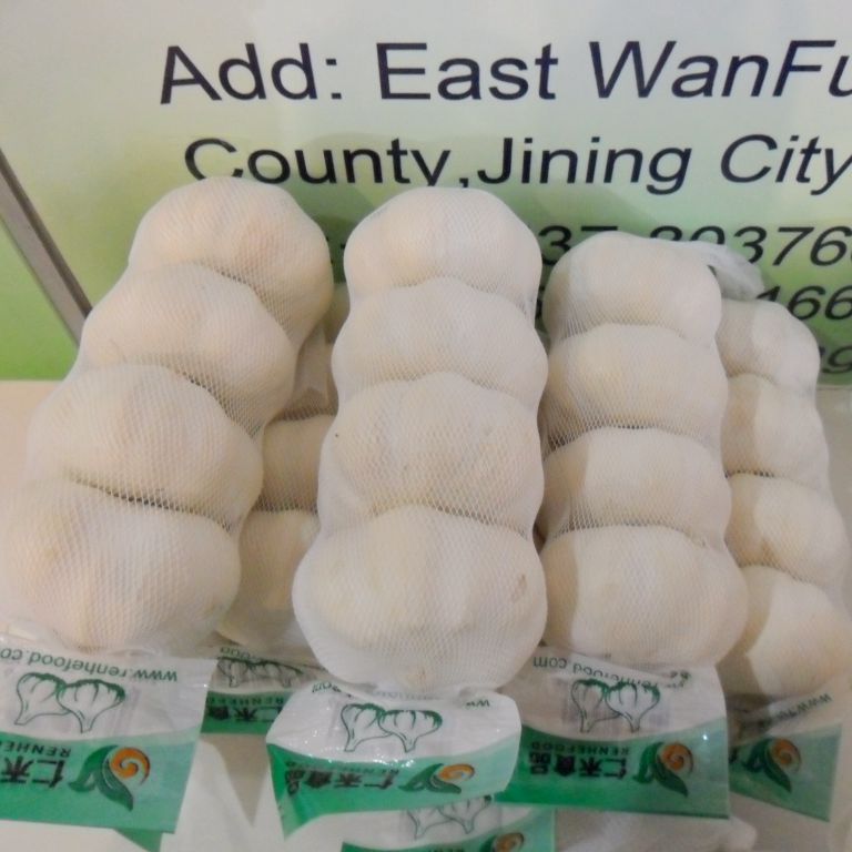 Canton Fair product