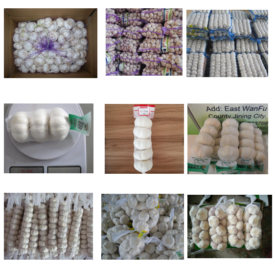 Canton Fair product