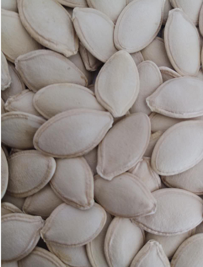 SHINE SKIN Inner Mongolia Large Pumpkin Seeds