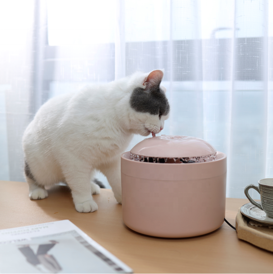 Smart Pet Dog Cat Water Fountain