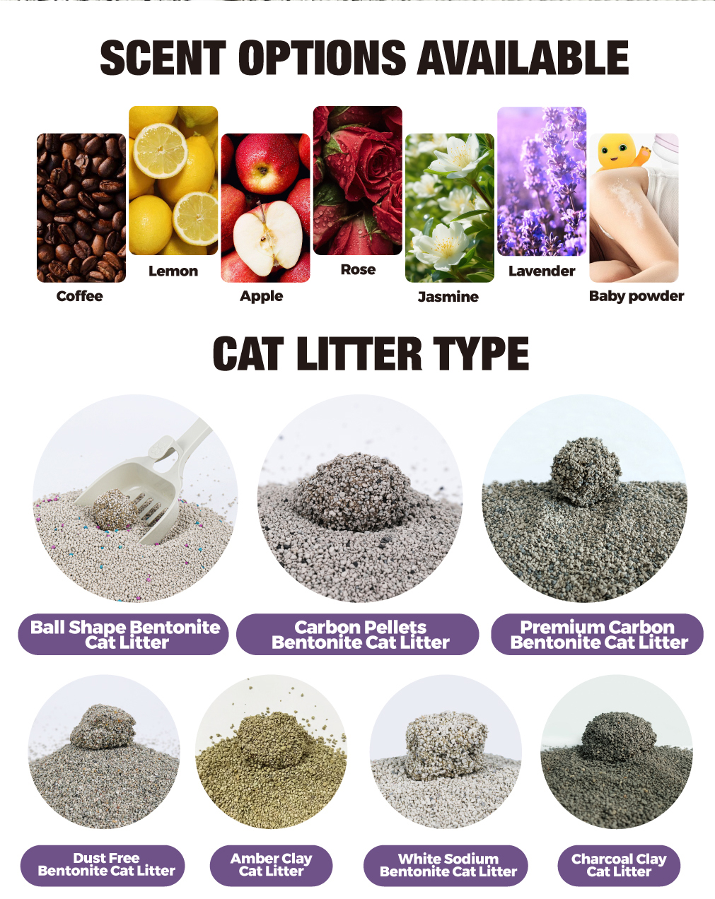 Canton Fair product