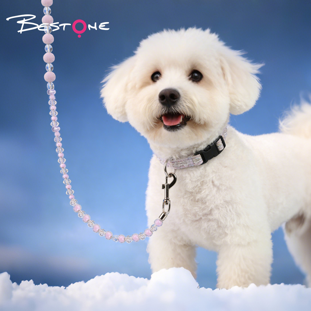 Pet Fashion Leash with Colorful Beads