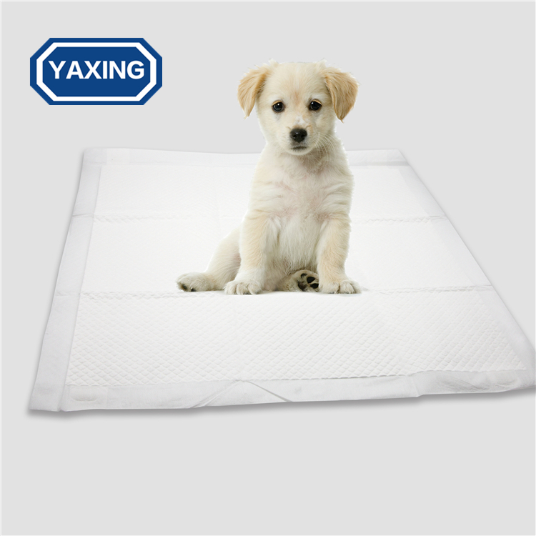 Puppy Training Pads