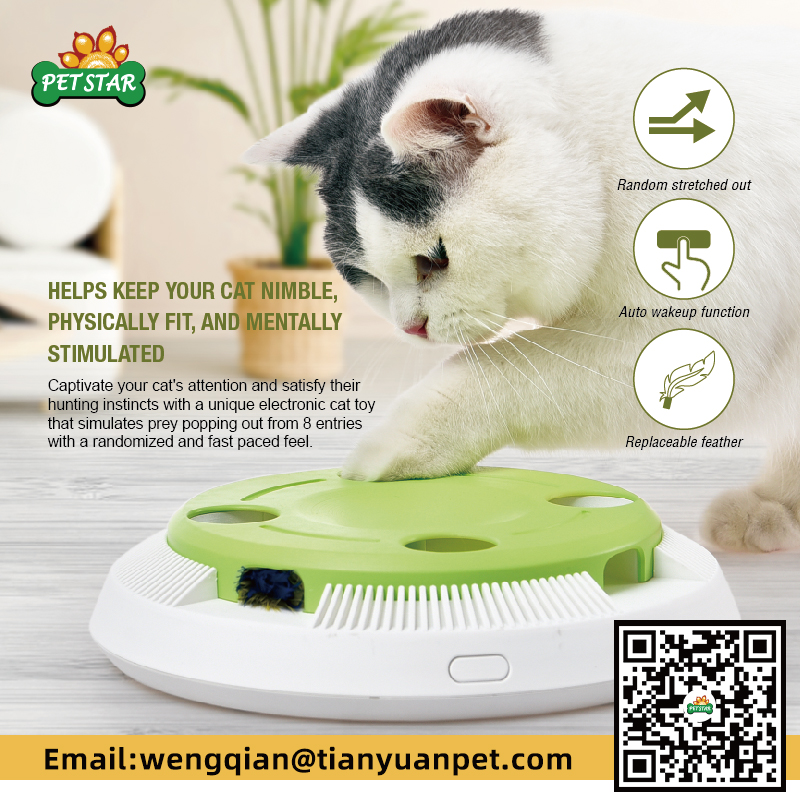 Canton Fair product