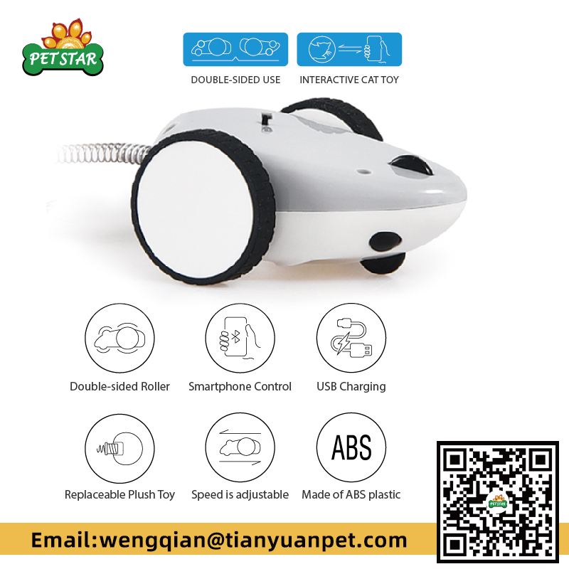 Canton Fair product