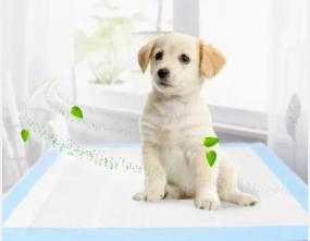 Pet Training Pads - 30 Count
