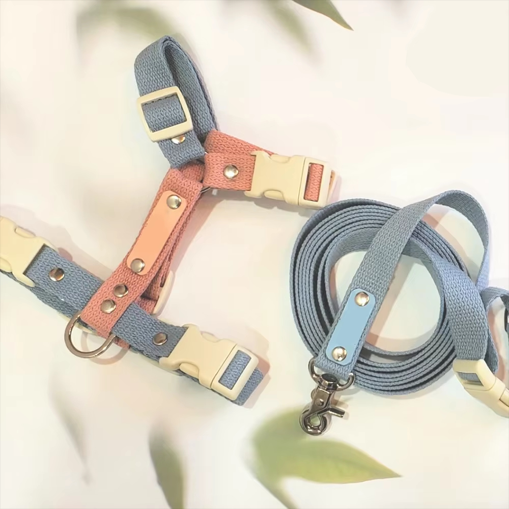 Handcrafted Leather Dog Leash for All Breeds