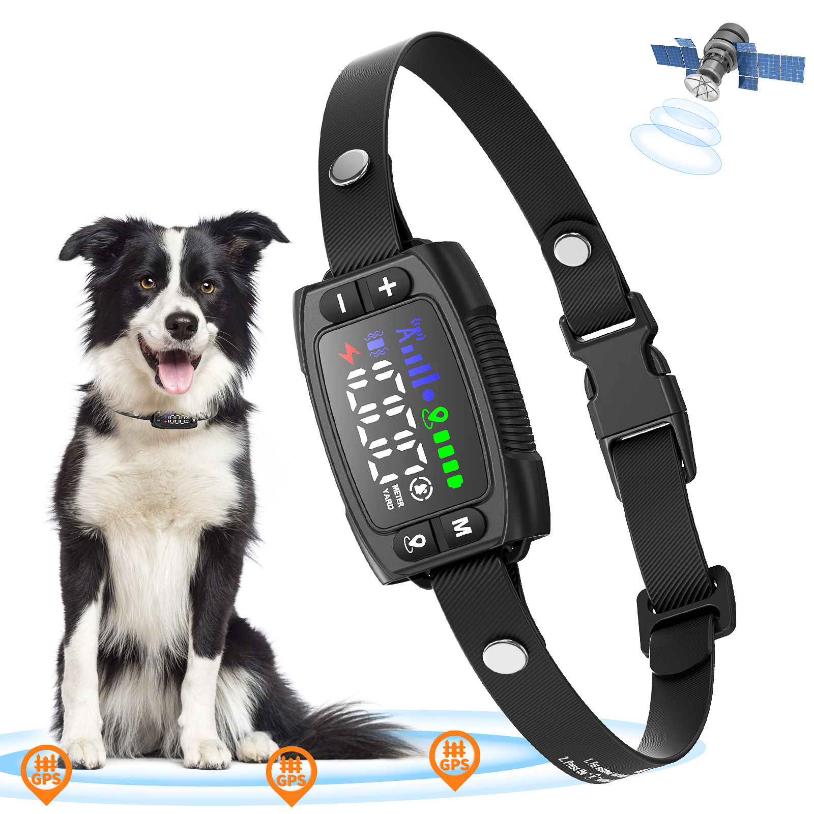 Pet Fence and Agility Training Products