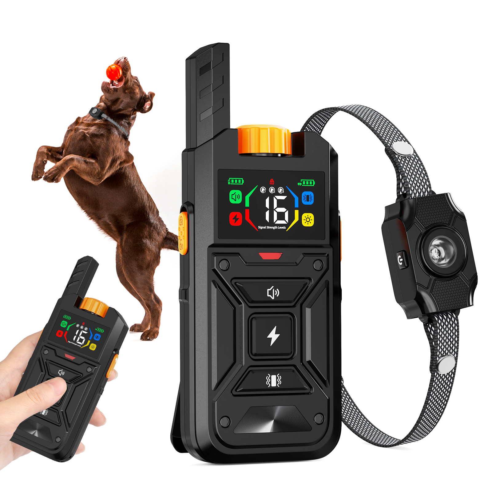 Dog Training Collar with Electronic Bark Control