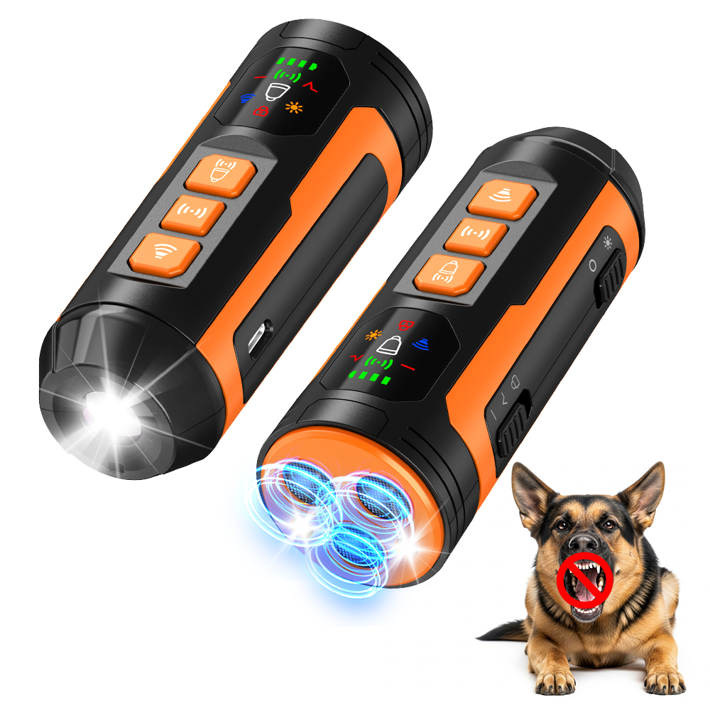 Dog Trainer and Agility Equipment