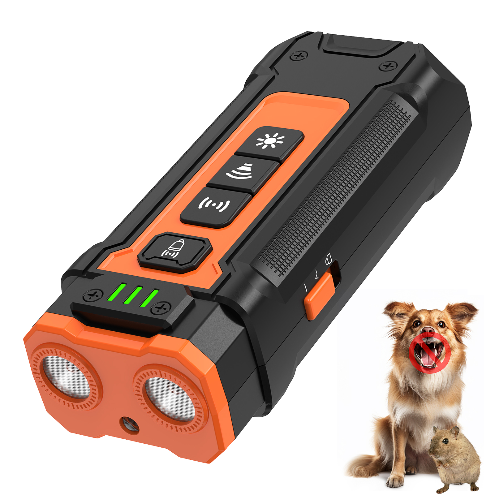 Dog Trainer and Agility Equipment
