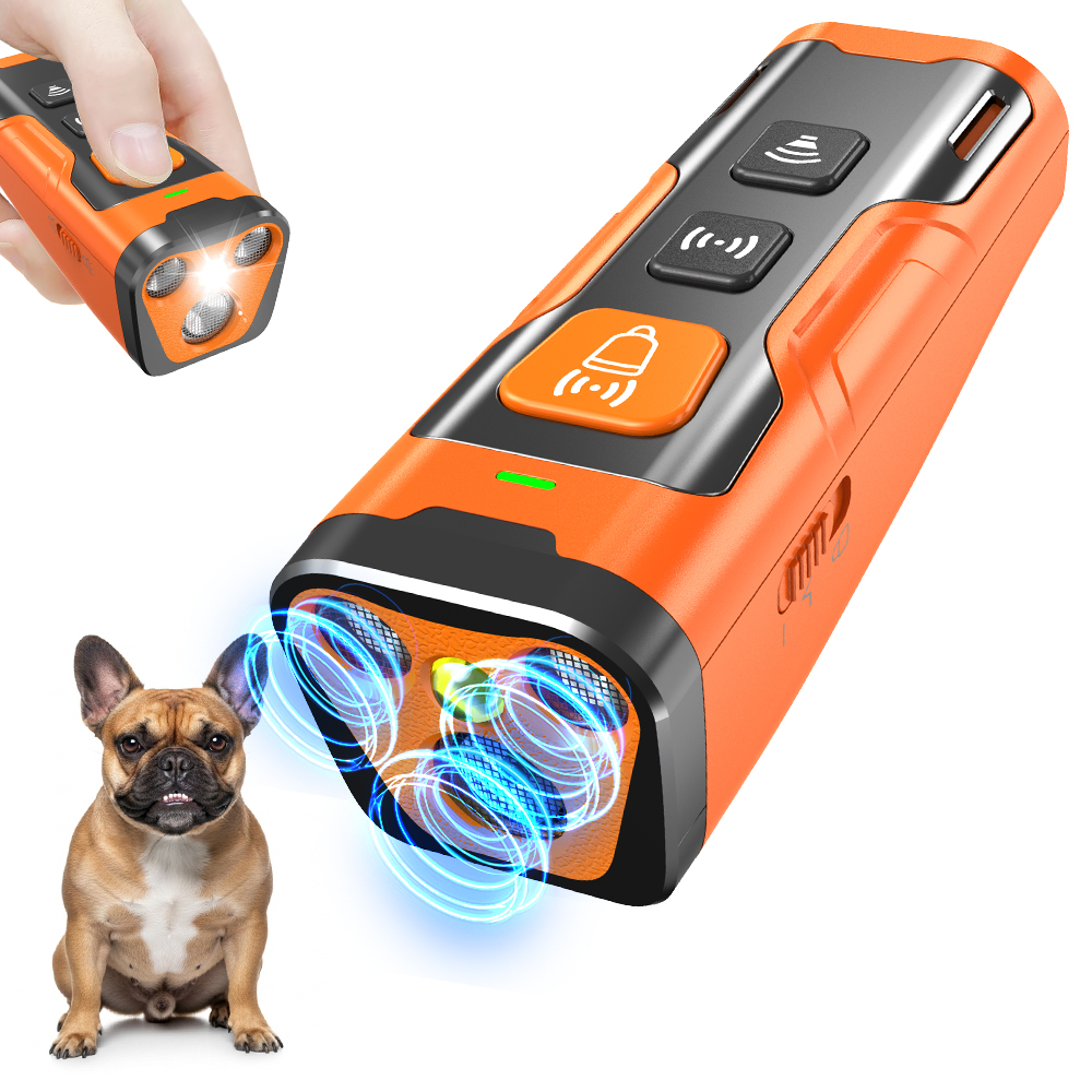 Dog Trainer and Agility Equipment
