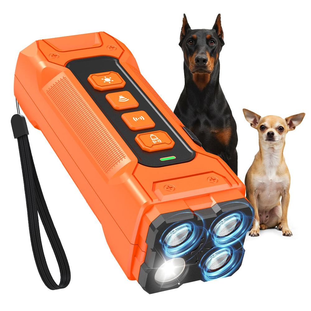 Dog Trainer and Agility Equipment