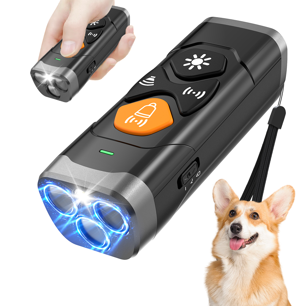Dog Trainer and Agility Equipment