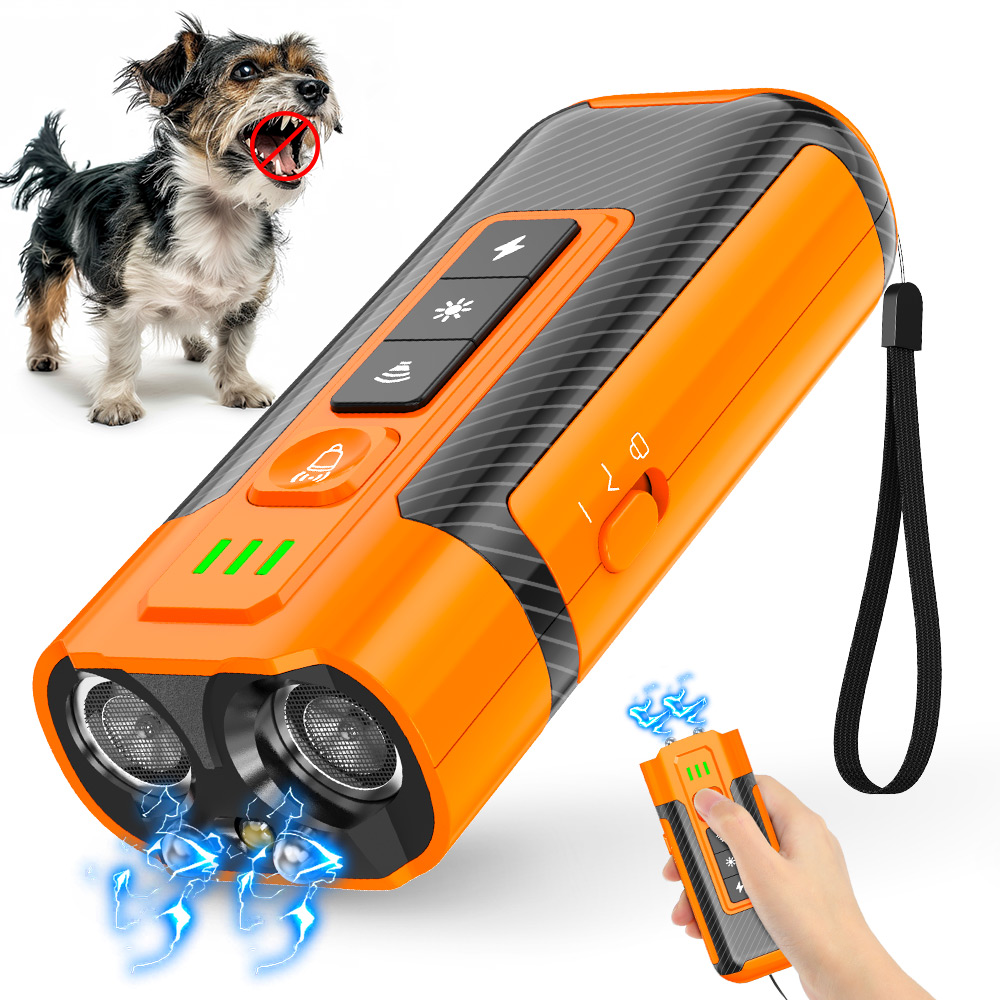 Dog Trainer and Agility Equipment