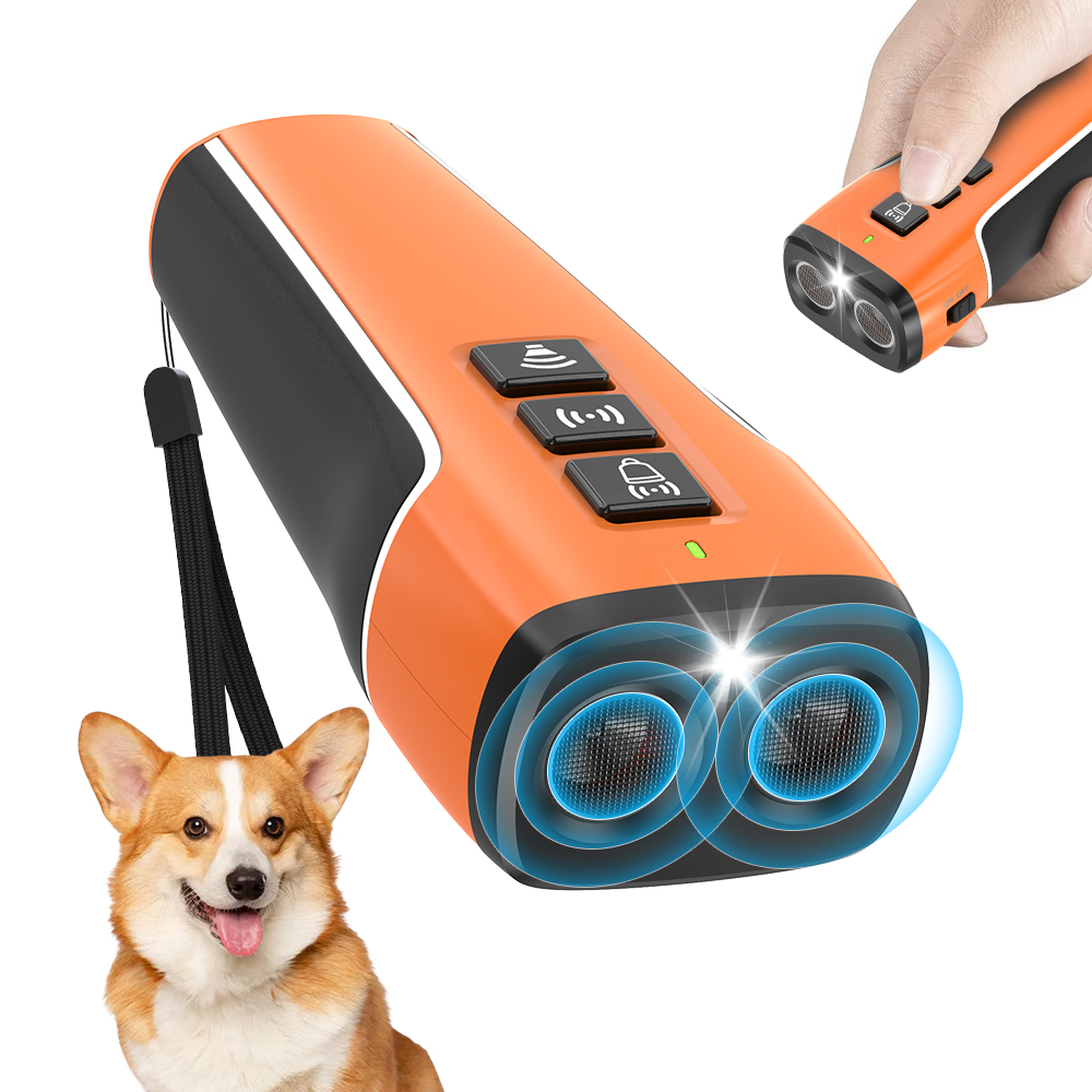 Dog Trainer and Agility Equipment