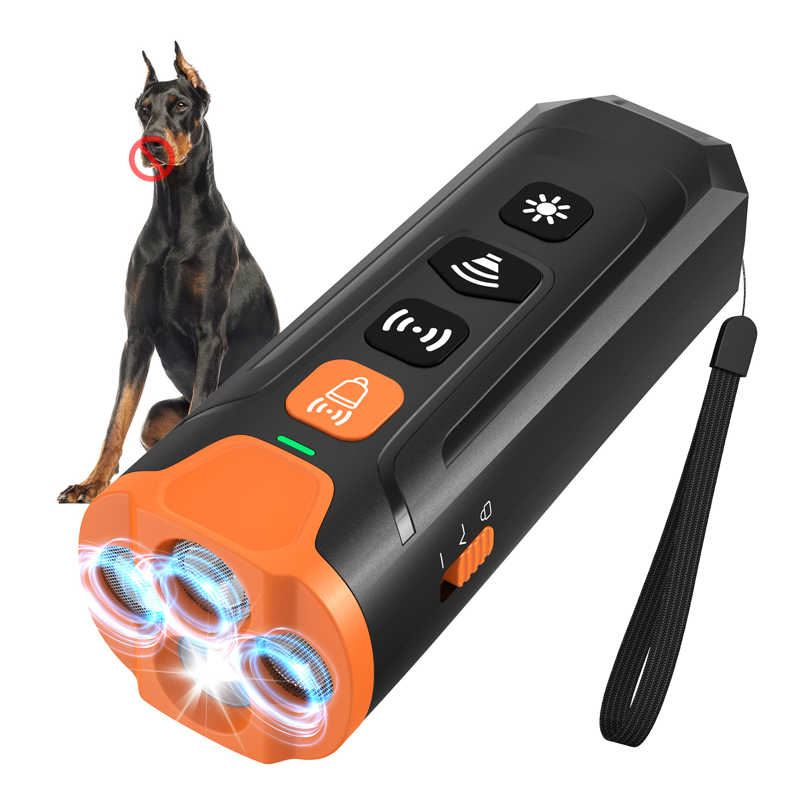 Dog Trainer and Agility Equipment