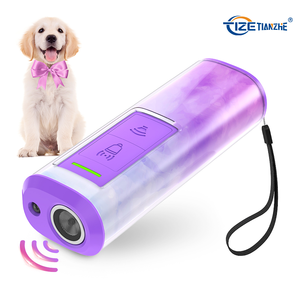 Dog Trainer and Agility Equipment