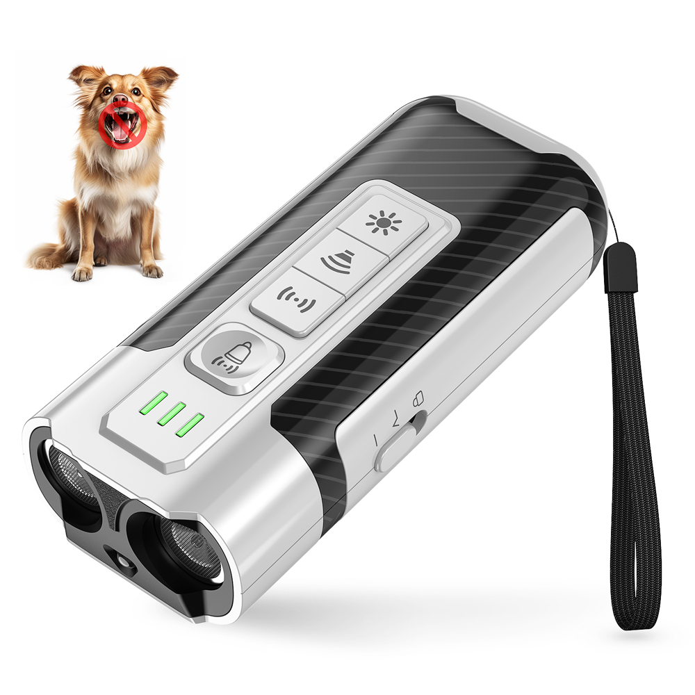 Dog Trainer and Agility Equipment