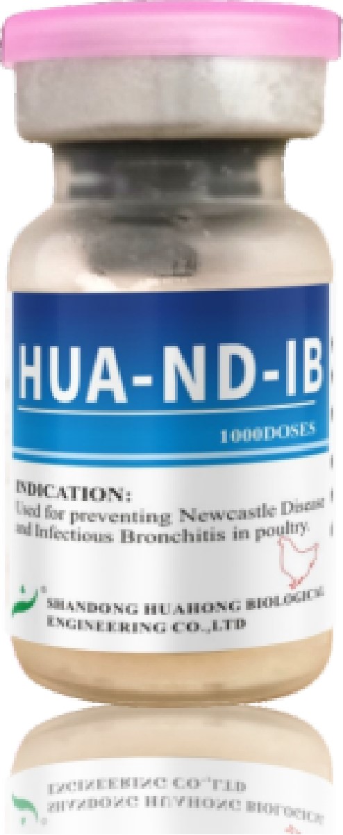 Newcastle Disease and Infectious Bronchitis Vaccine, Live (HB1 + H120 Strains)