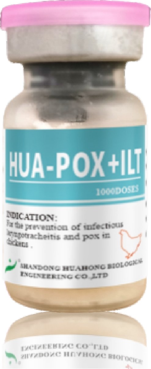 Live Fowl Pox and Laryngotracheitis Vaccine