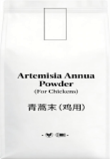 Artemisia Annua Powder for Chickens